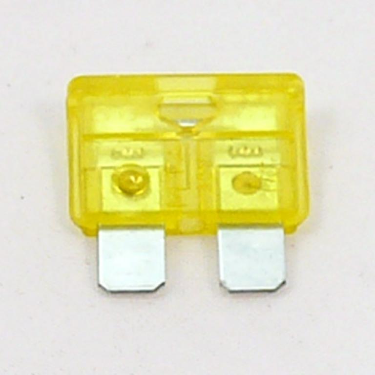 20 Amp blade fuse